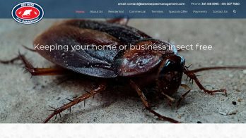 Bee Wise Pest Management